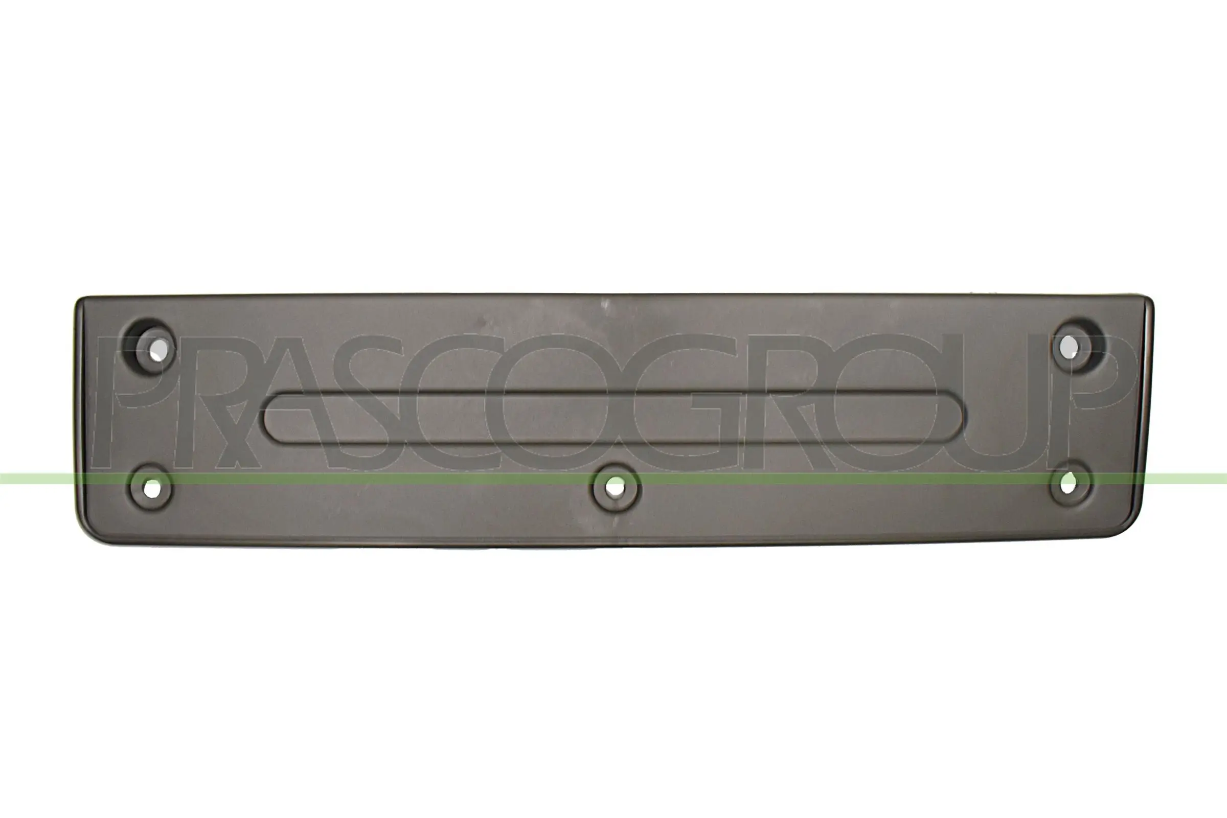 VG8091539 Prasco
