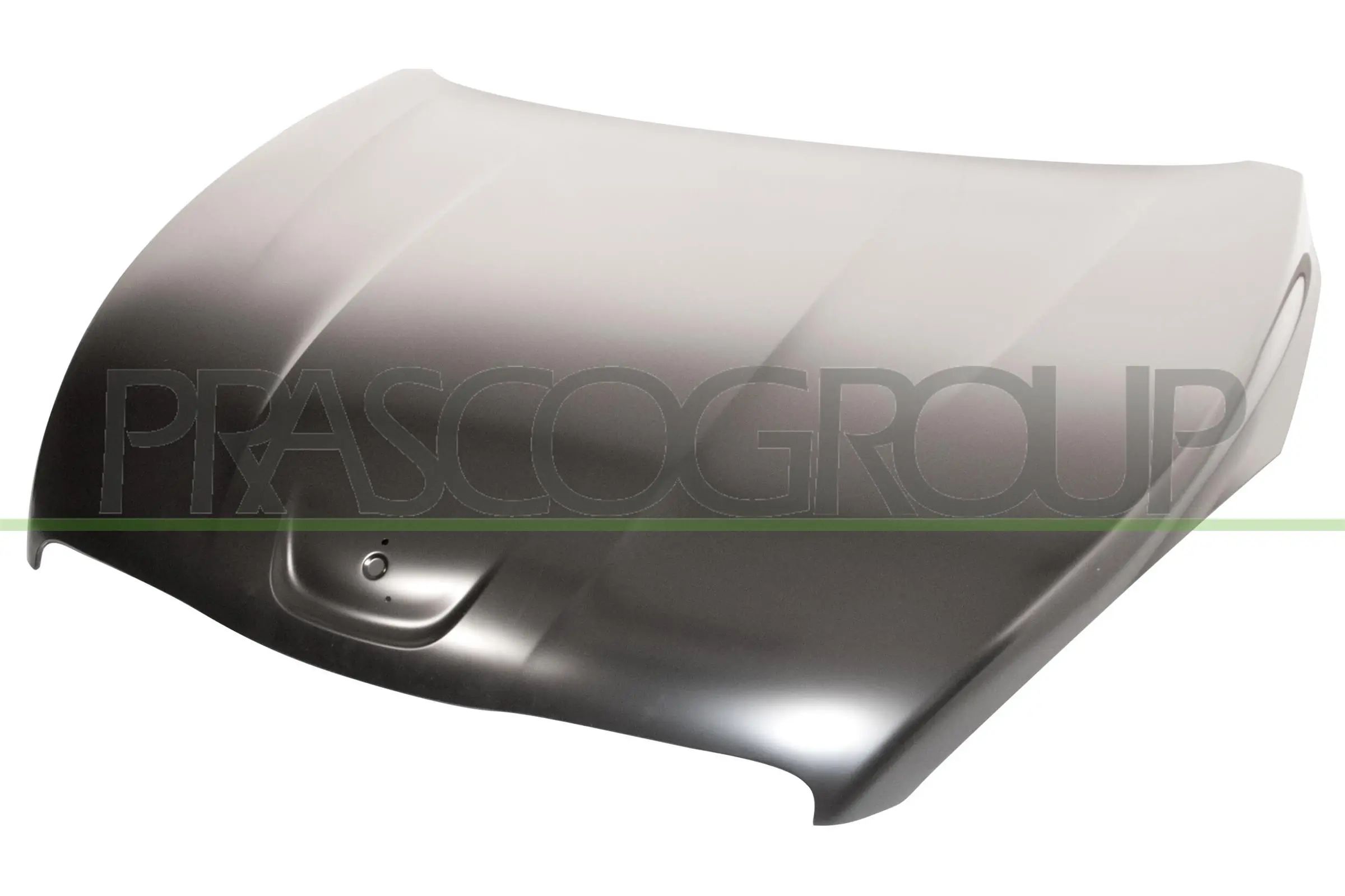 PG5303100 Prasco