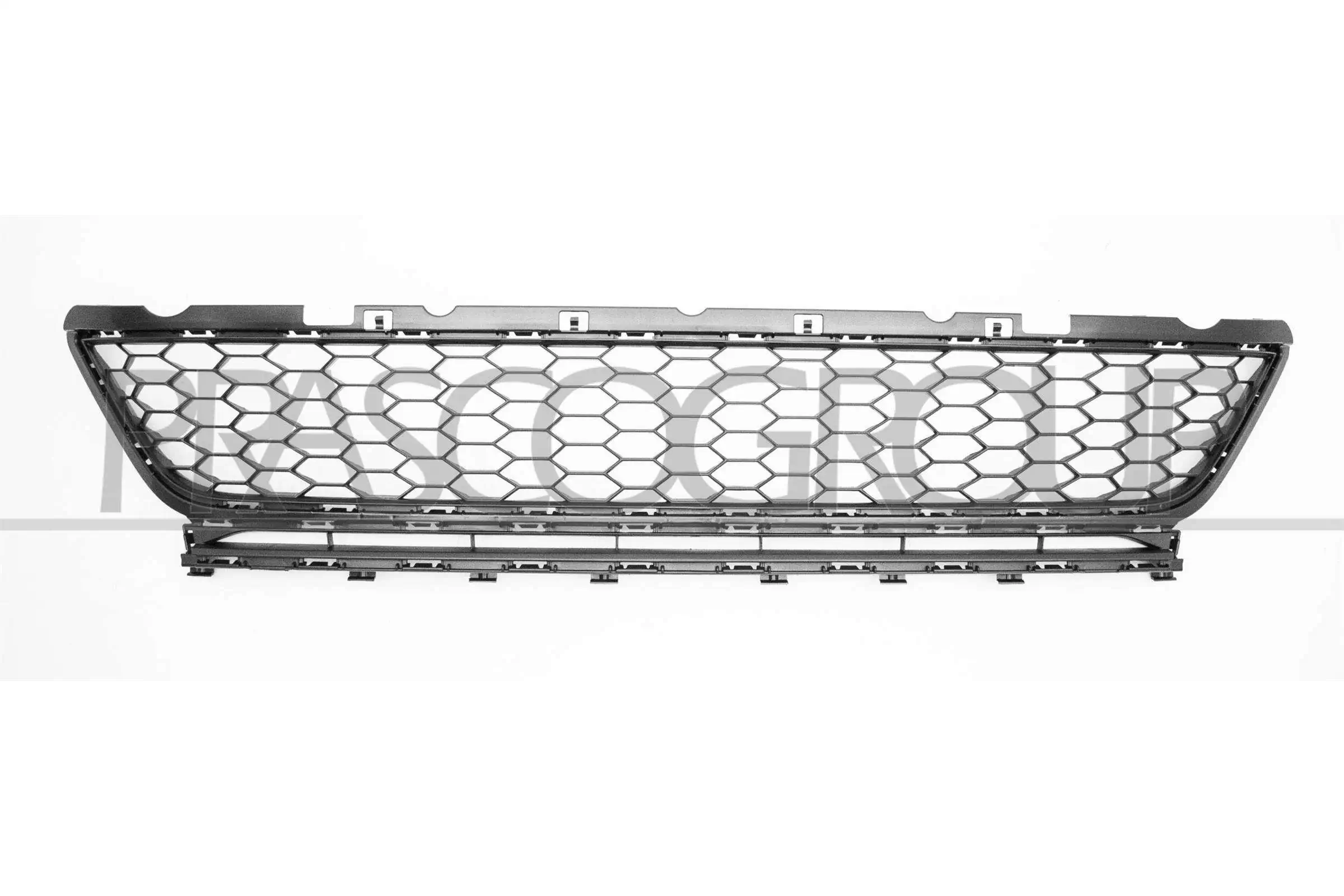 VG4082120 Prasco