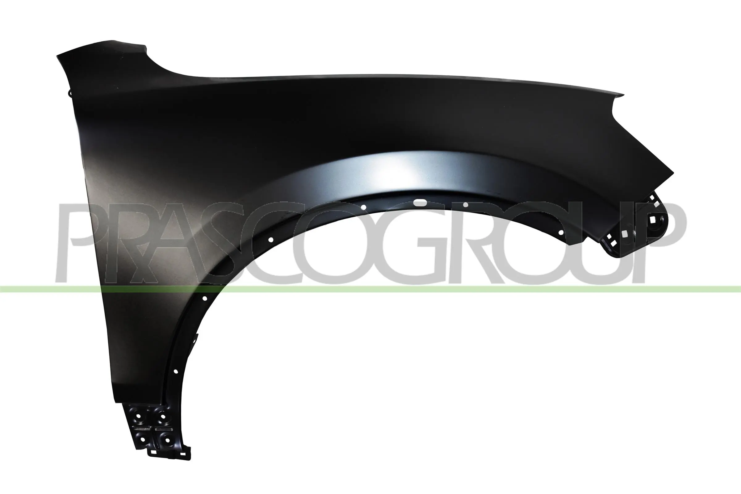 VG8193003 Prasco