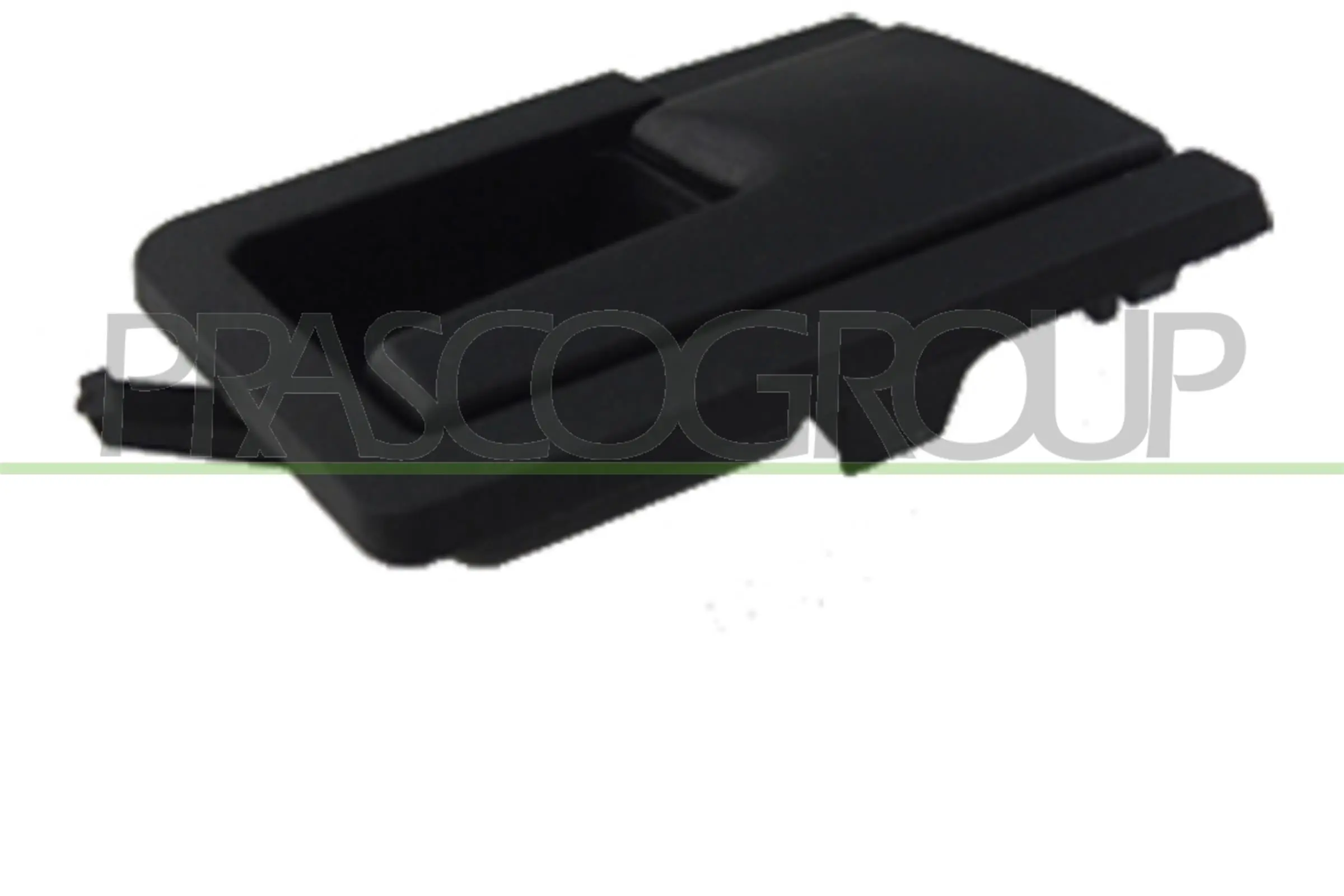 VG9138401 Prasco