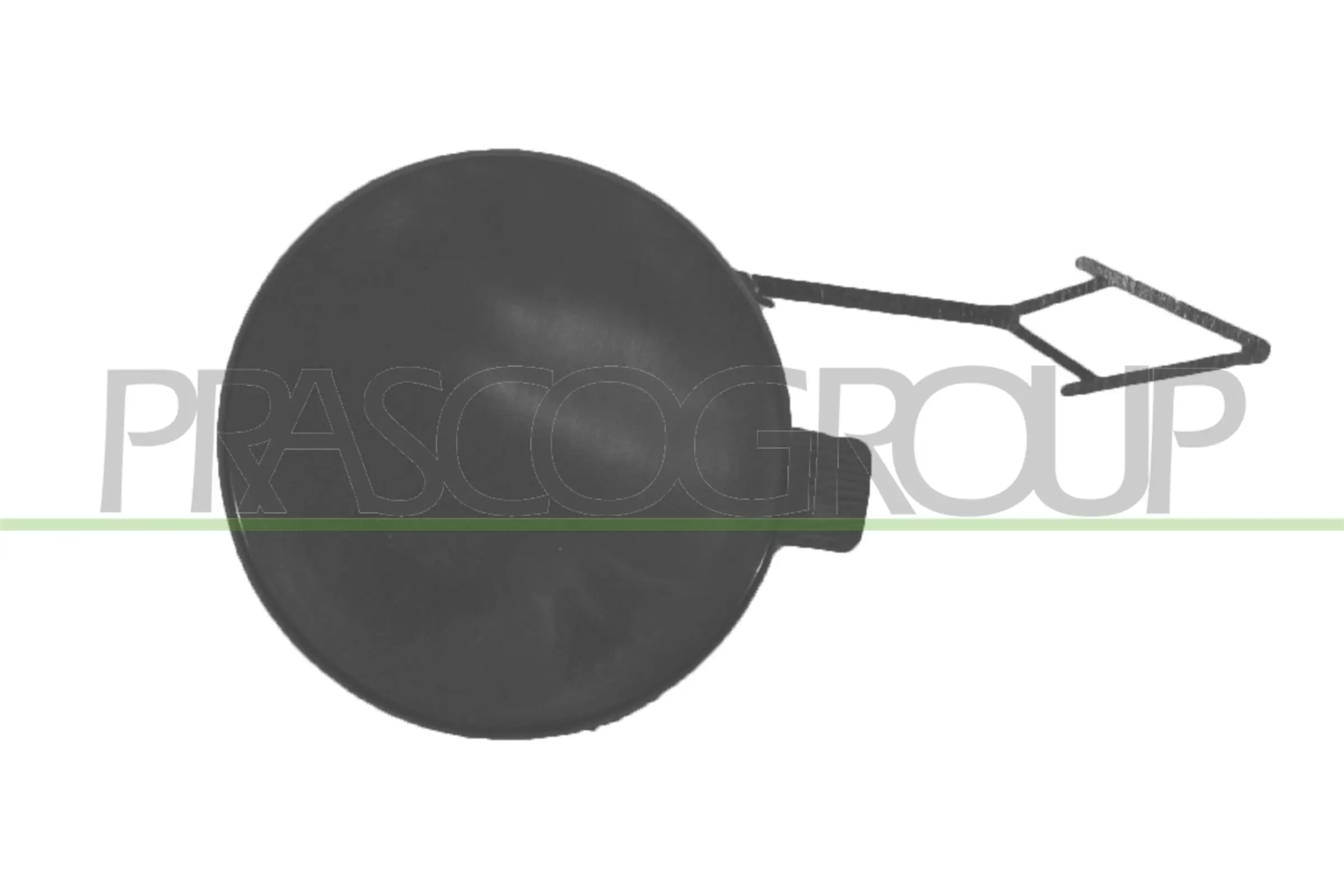 VG4001286 Prasco