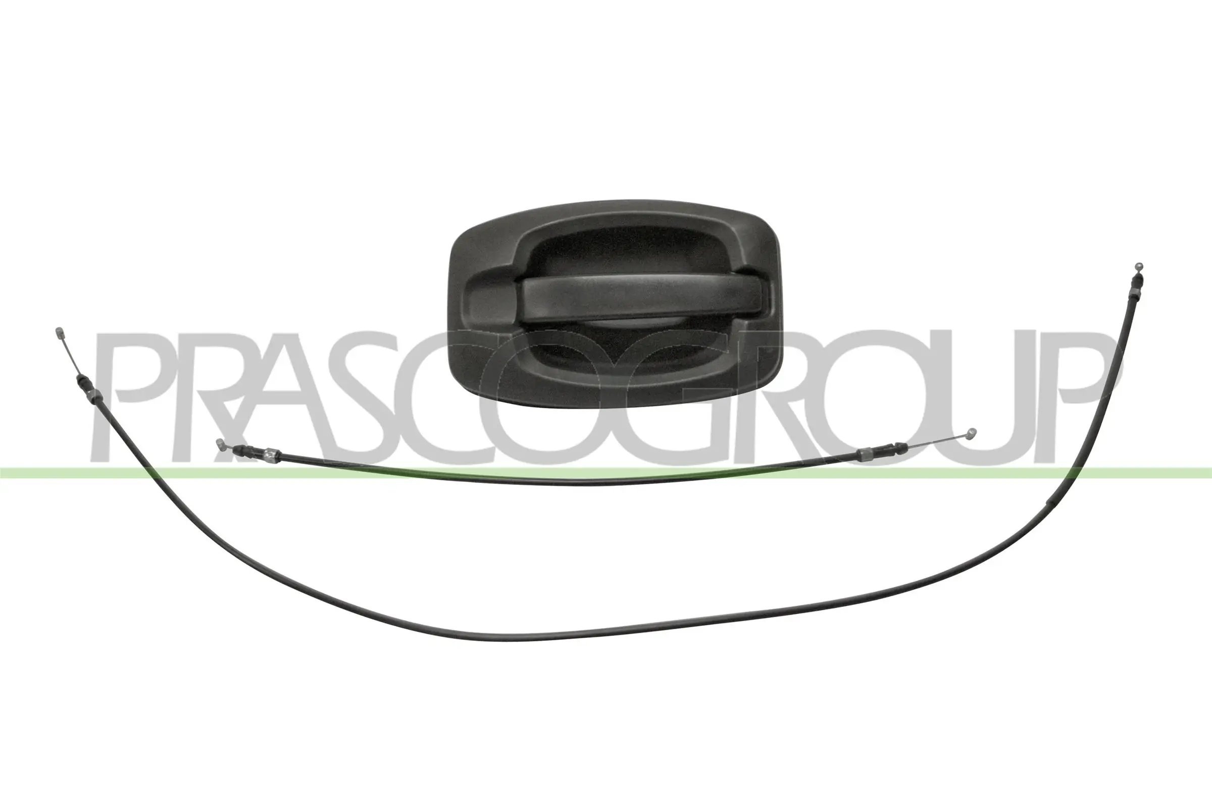 FT9308141 Prasco