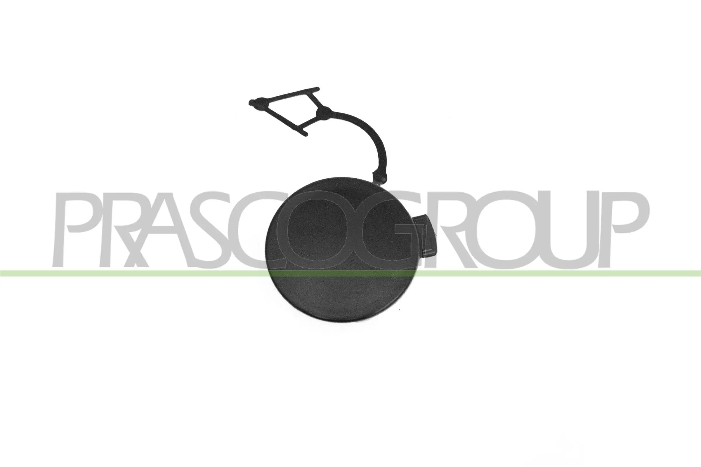 VG4021236 Prasco