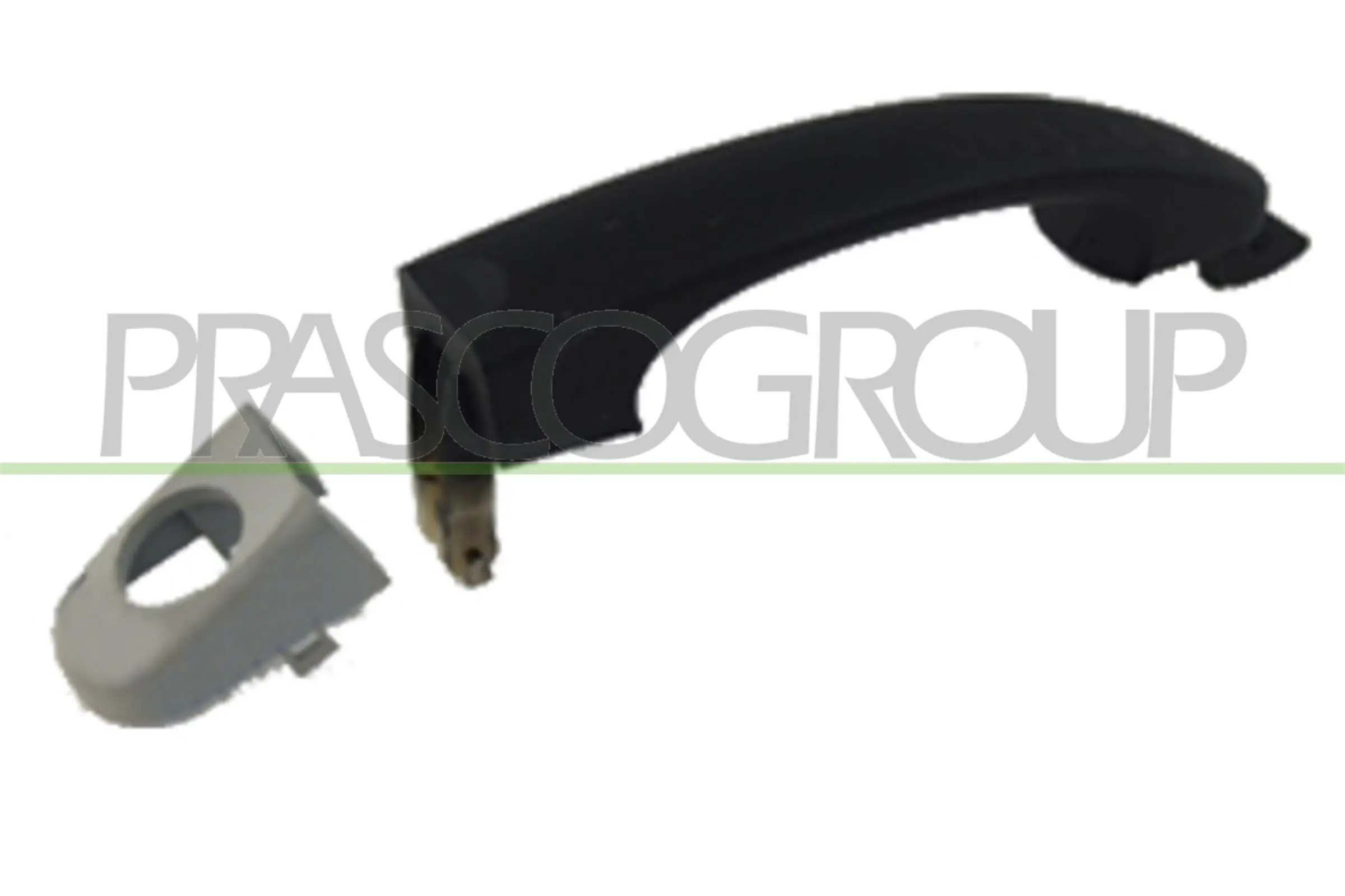 VG9178004 Prasco