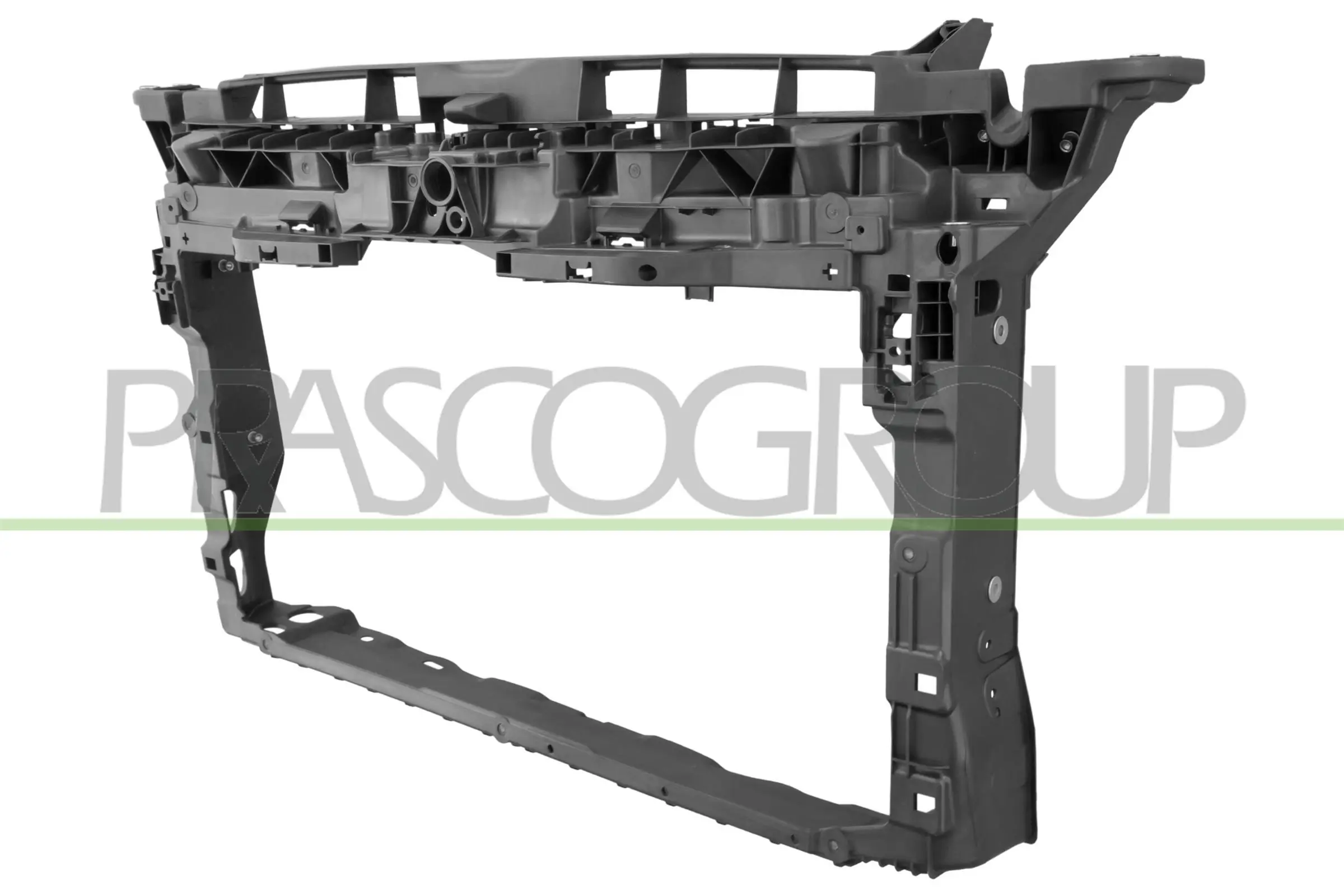 VG4103210 Prasco