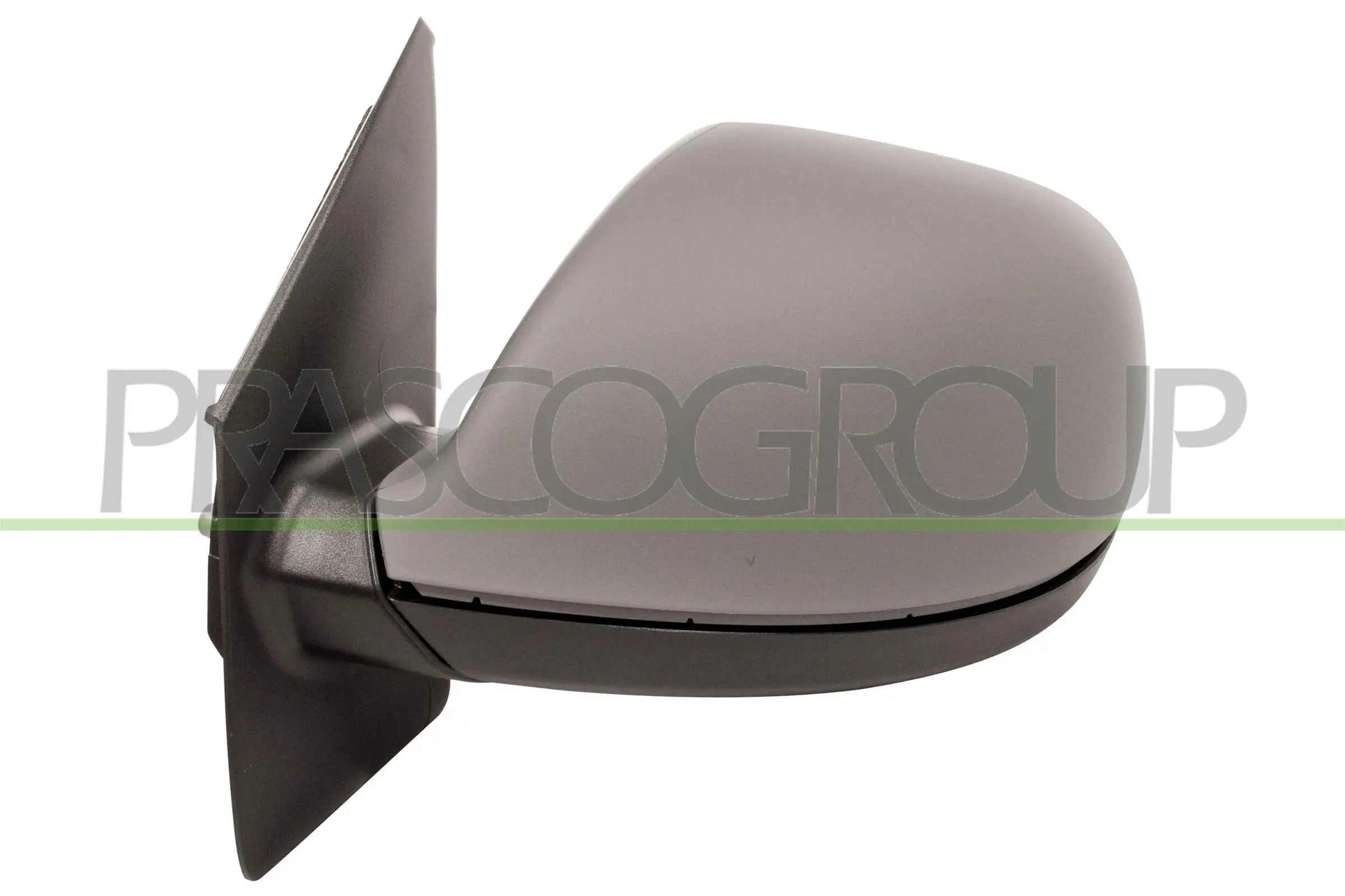 VG9197344 Prasco
