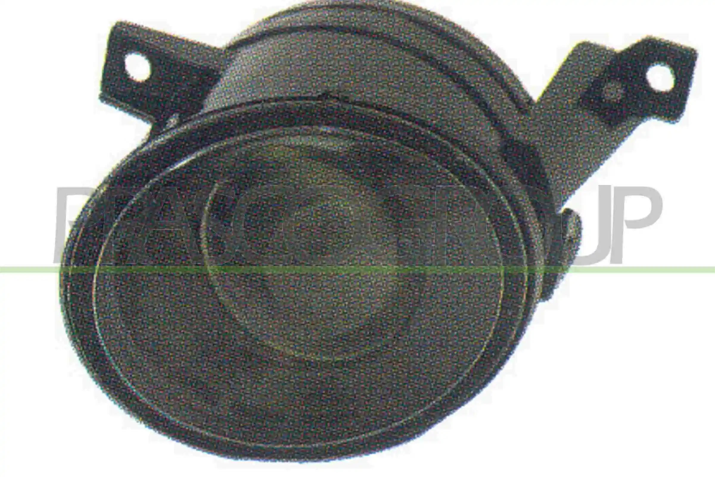 VG9044413 Prasco