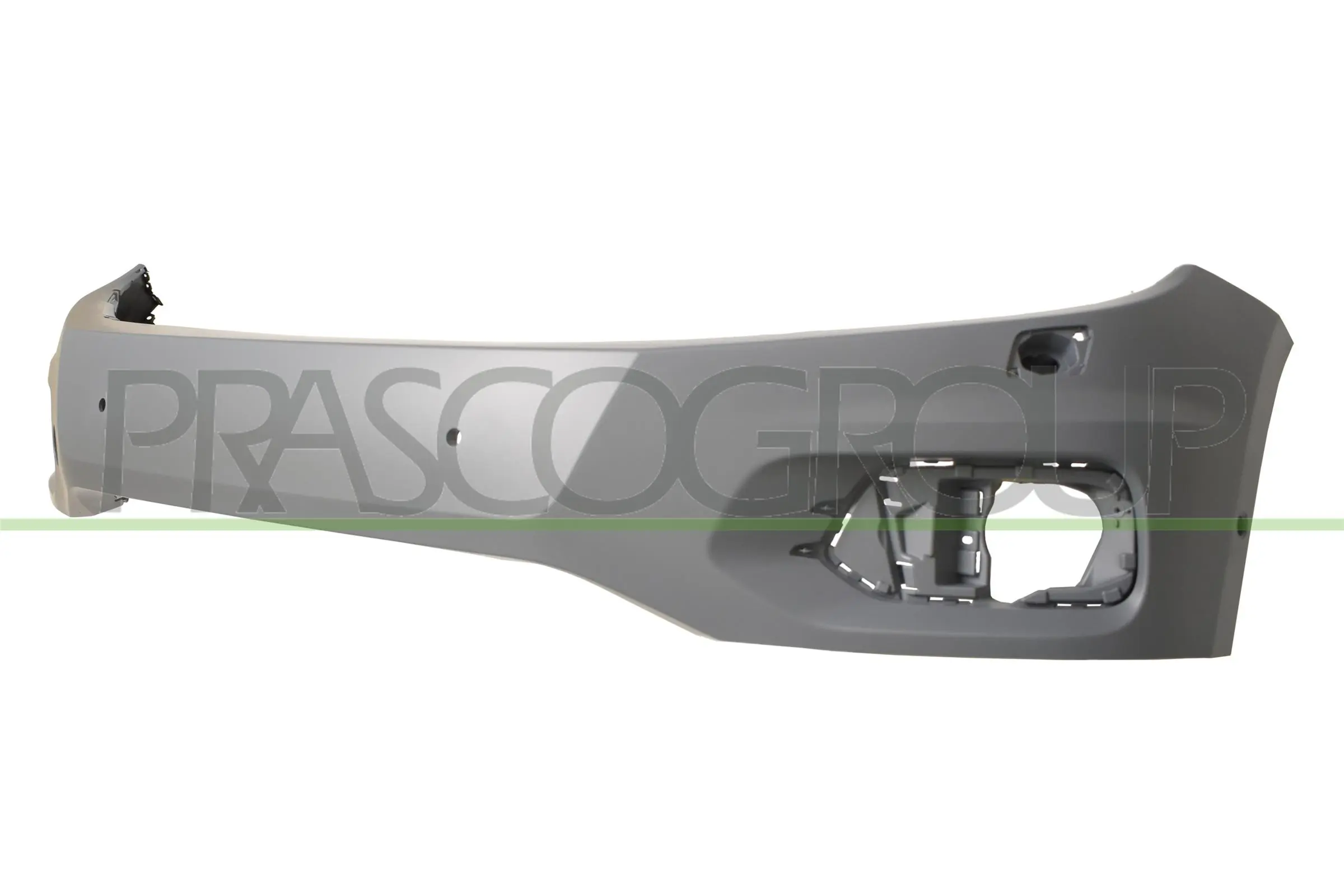 VG8091042 Prasco