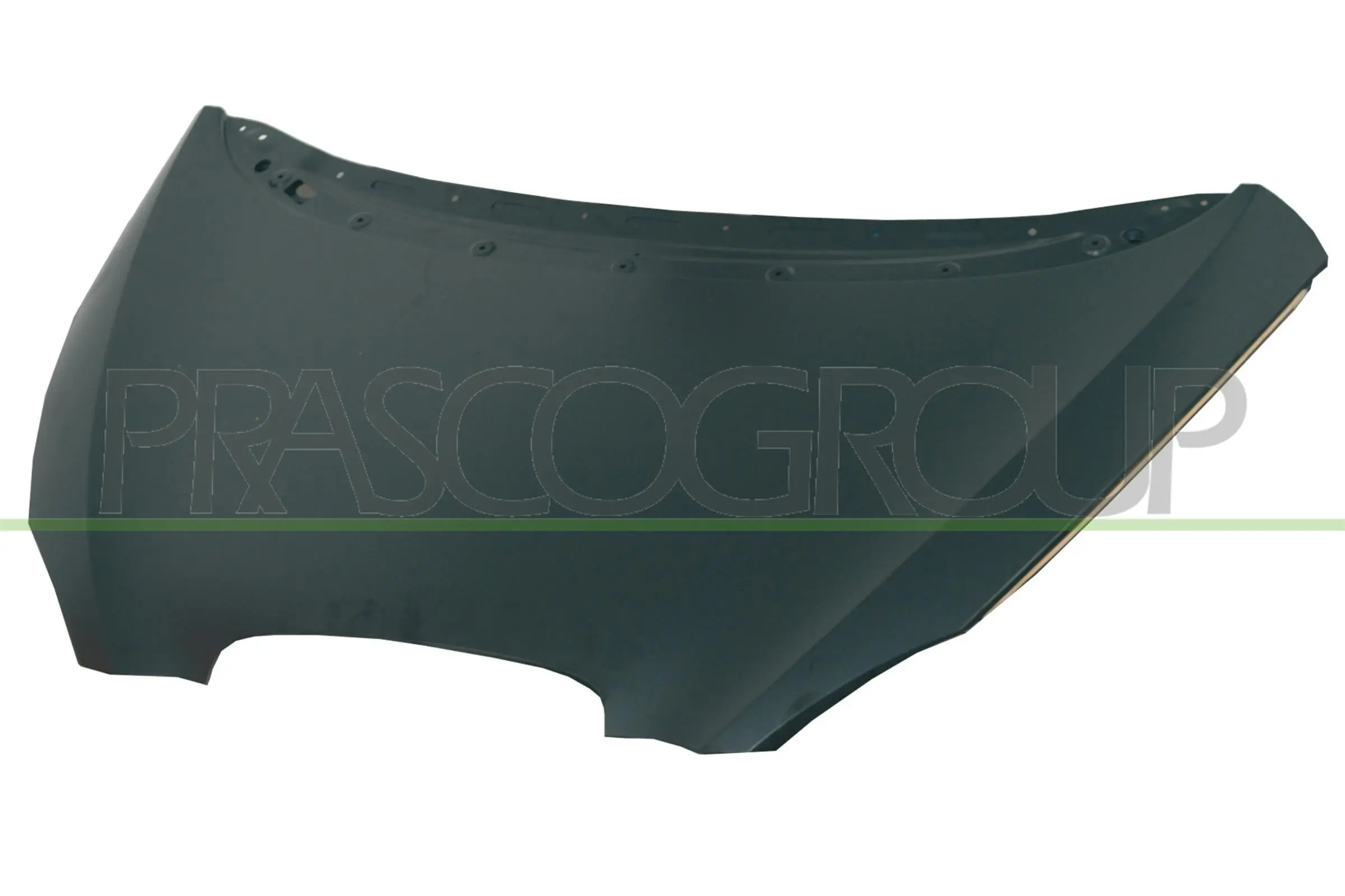 Capot para Seat Altea (5P1)
