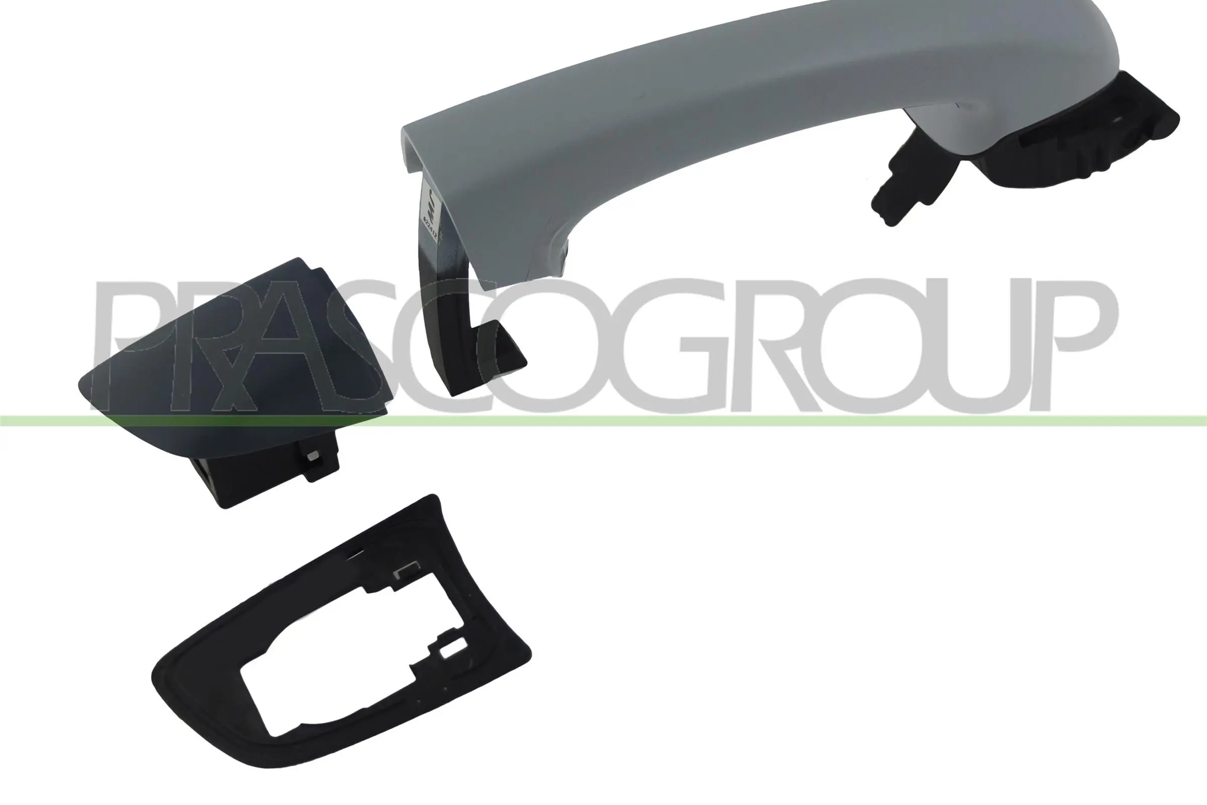 VG1018003 Prasco