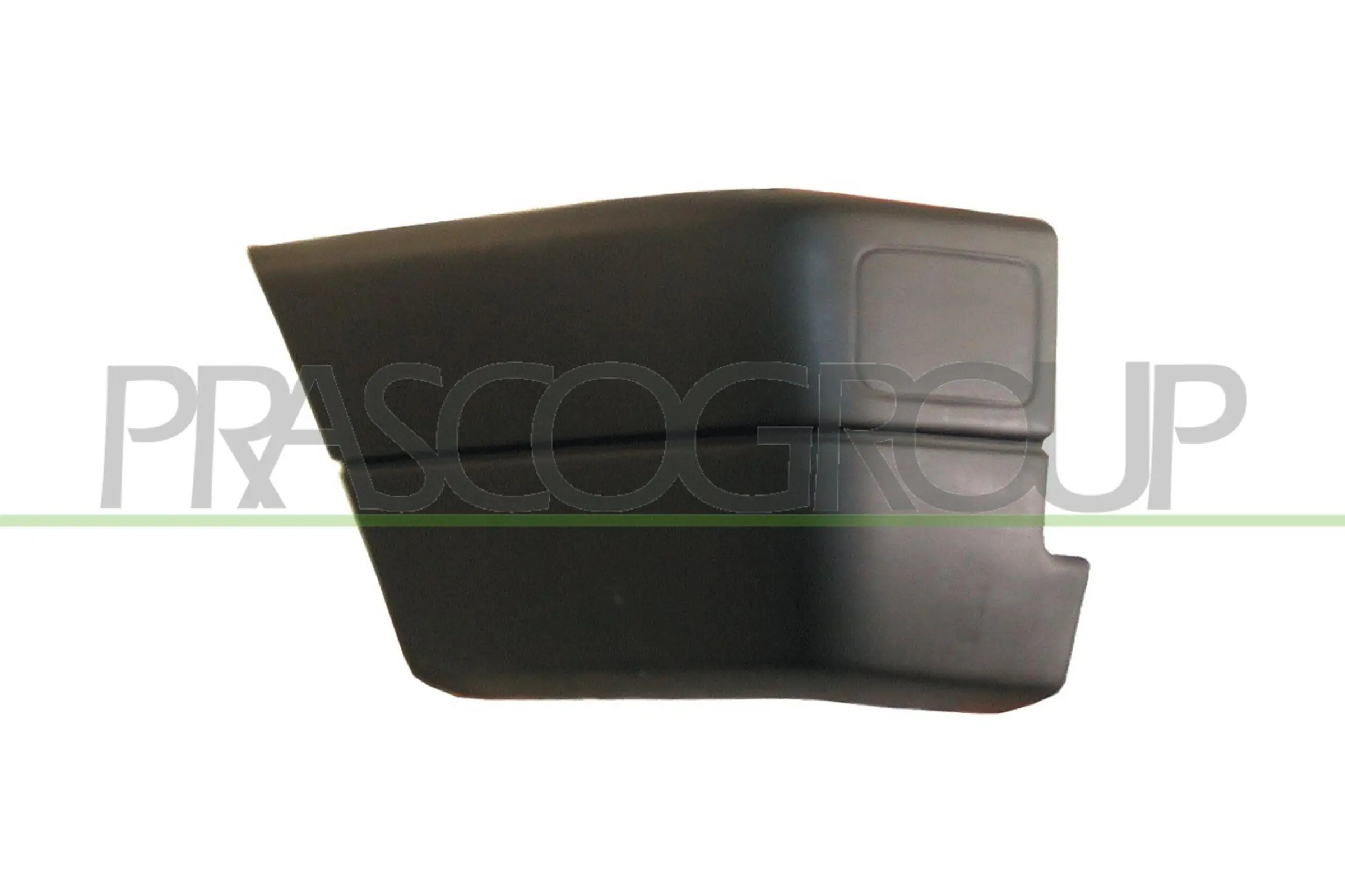 VG9131154 Prasco