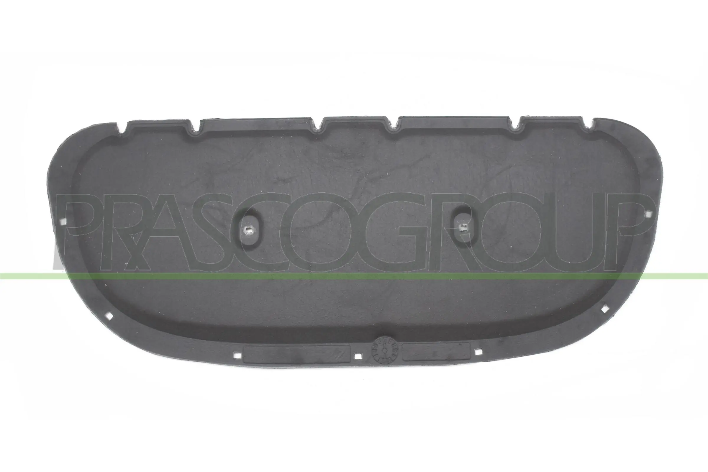 VG1011945 Prasco