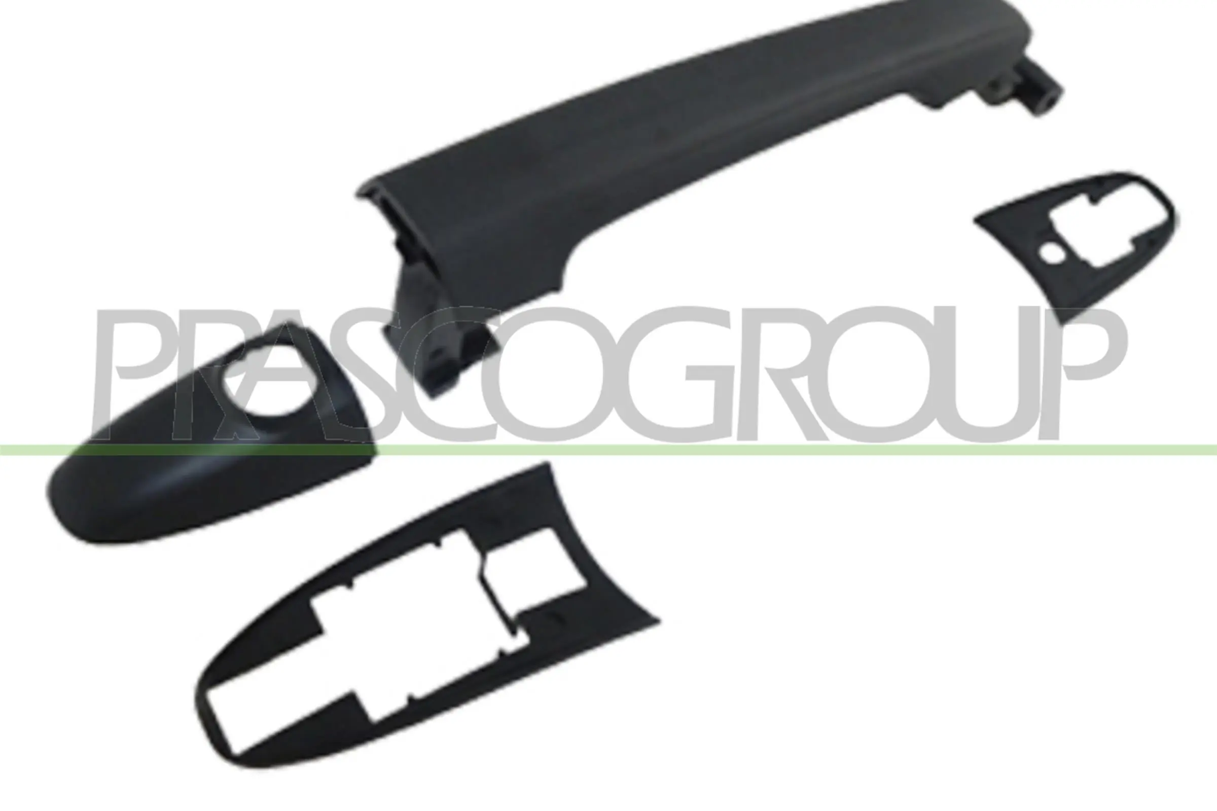 VG9528002 Prasco