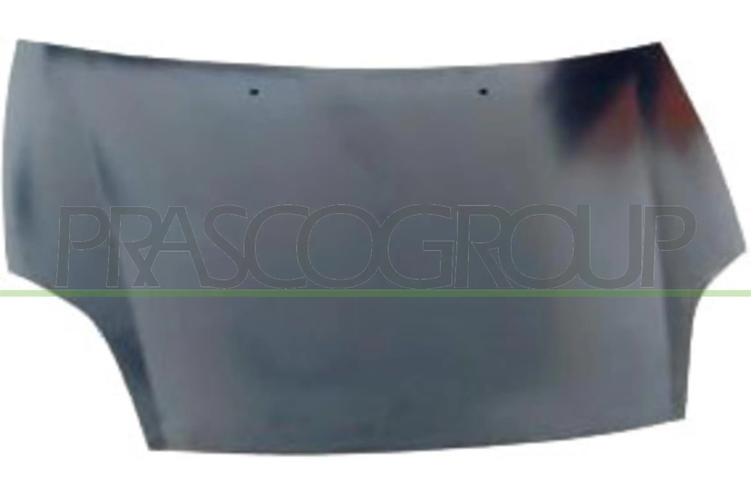Capó delantero para Fiat Bravo II 198