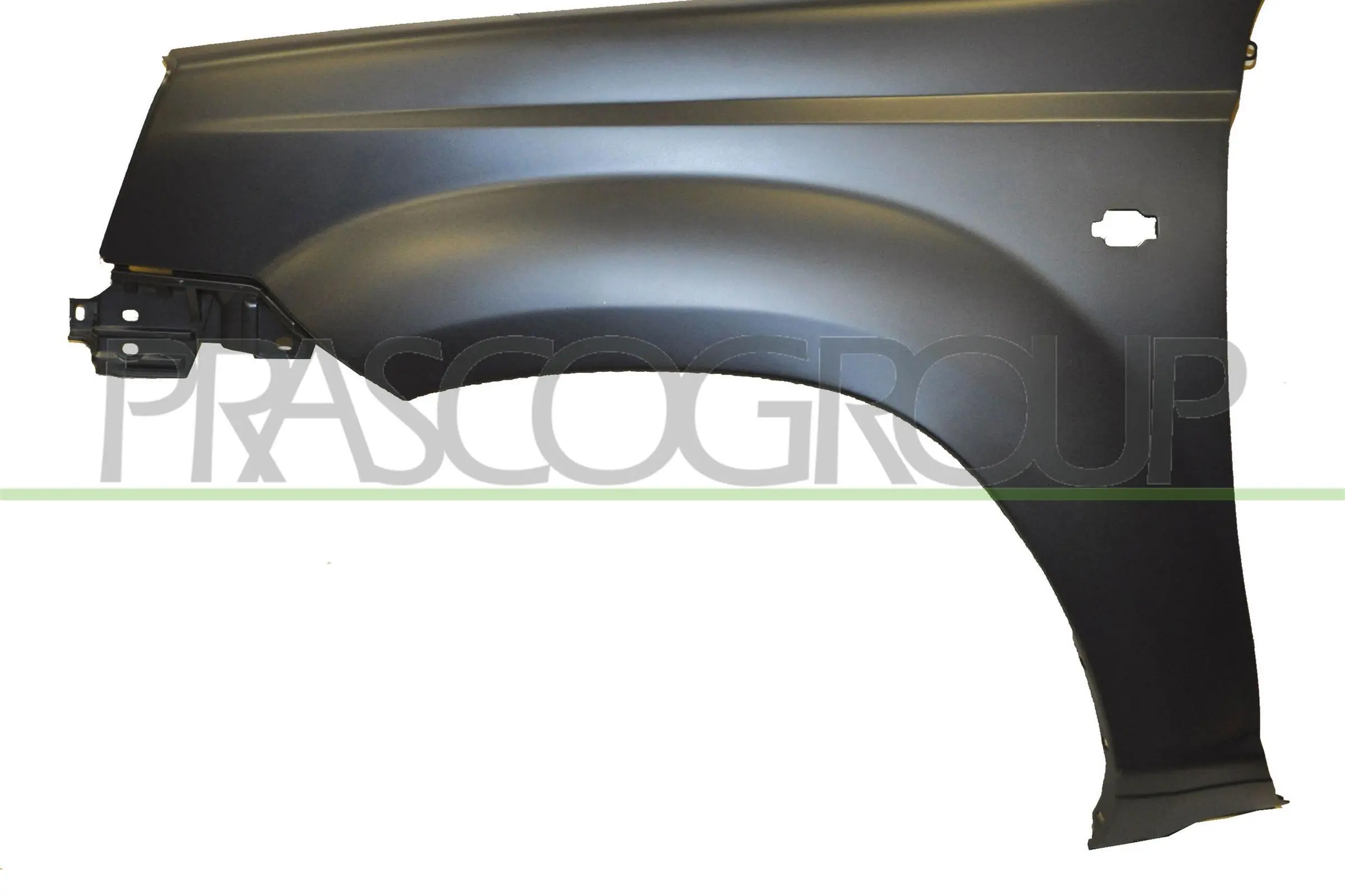 DS8303013 Prasco