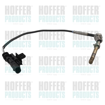 7452399 Hoffer