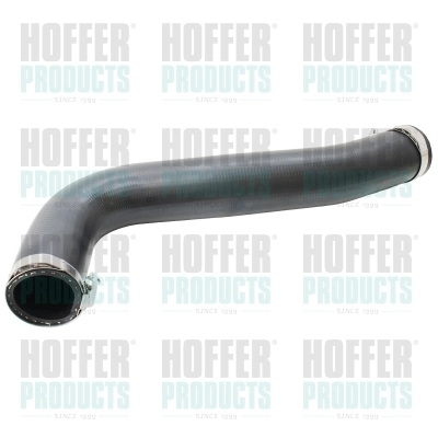 961108 Hoffer