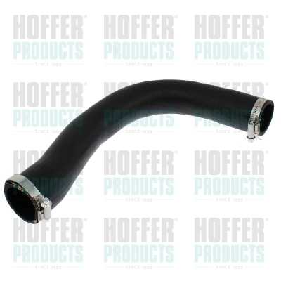 961010 Hoffer
