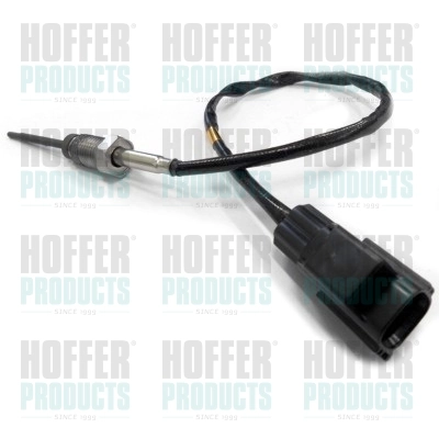 7451912 Hoffer