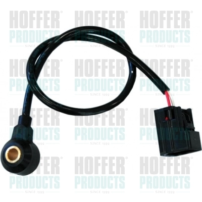Sensor de detonaciones Ford Fiesta V desde 28,24 €