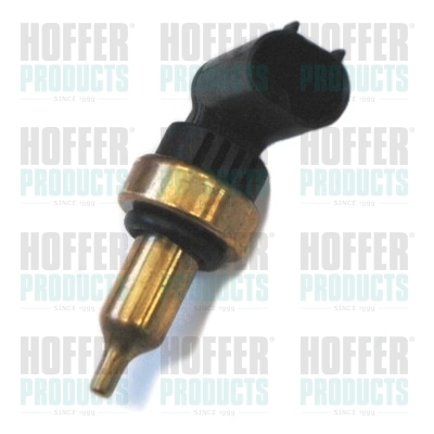 7472404 Hoffer