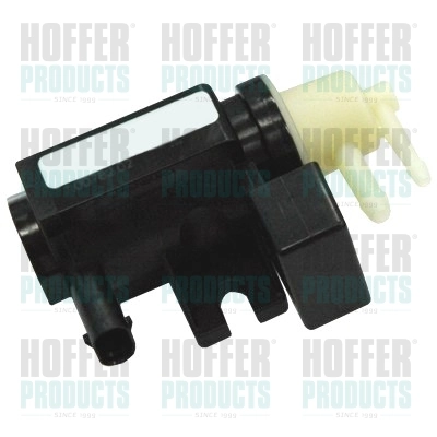 8029125 Hoffer