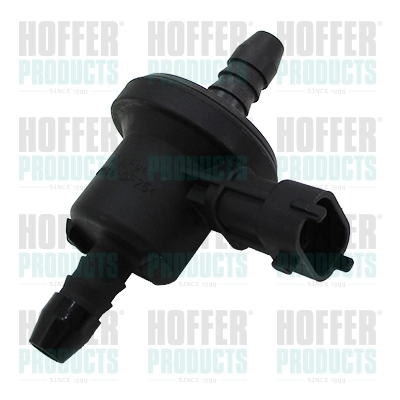 8029479 Hoffer