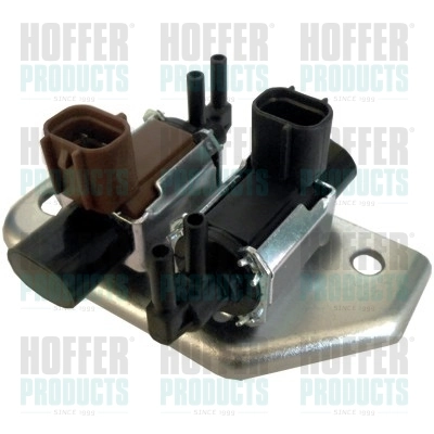 8029481 Hoffer
