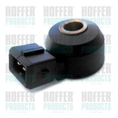 Sensor de picado Fiat Ducato II (244)