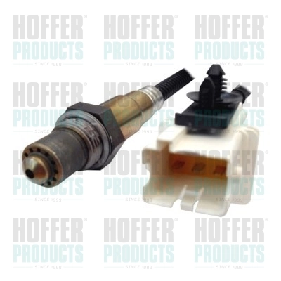 7481771 Hoffer