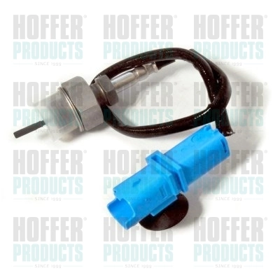 7452303 Hoffer