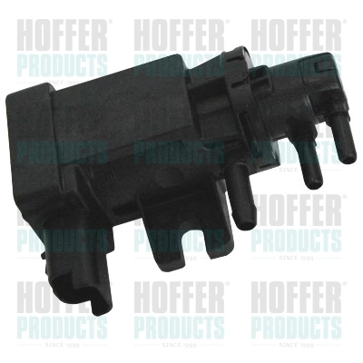 8029262 Hoffer