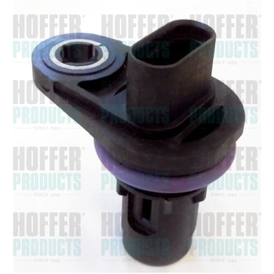 7517631 Hoffer