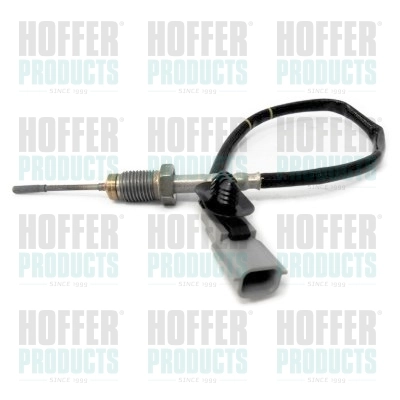 7452134 Hoffer