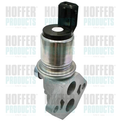 Válvula de mando de ralentí Ford Fiesta Mk3 hatchback (GFJ) (1989 - 1995) precio, desde 66,55 EUR