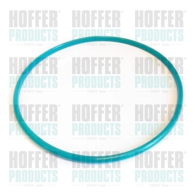 GSK01 Hoffer