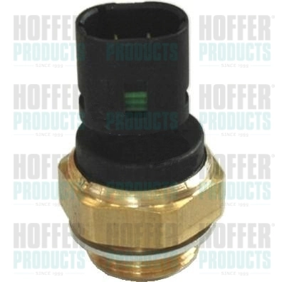 Sensor de temperatura Renault Kangoo desde 11,37 €