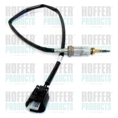 7452024 Hoffer