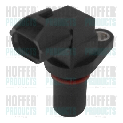 75171017 Hoffer