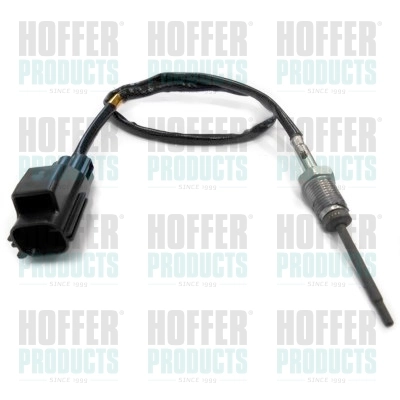 7451913 Hoffer
