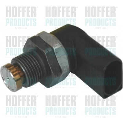 8029209 Hoffer