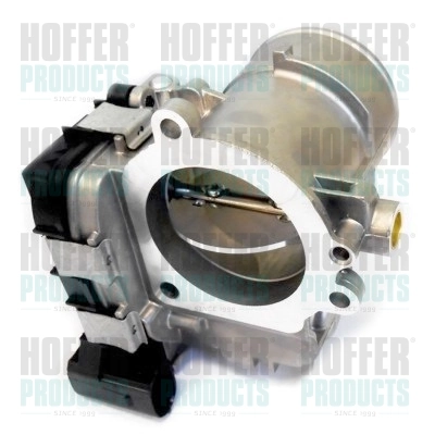 Comprar Cuerpo de aceleración completo Fiat Ducato III 250 a bajo precio