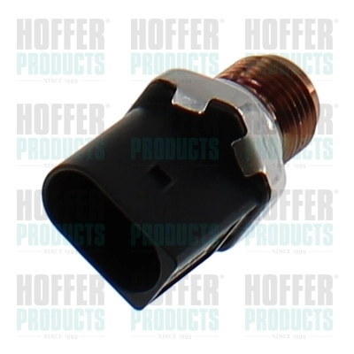80298929 Hoffer