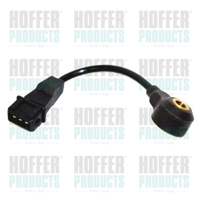 7517619 Hoffer