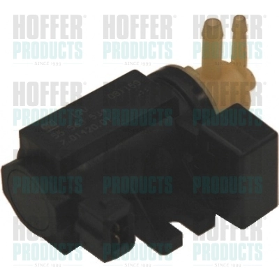 8029186 Hoffer