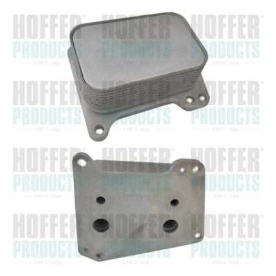 8095196 Hoffer