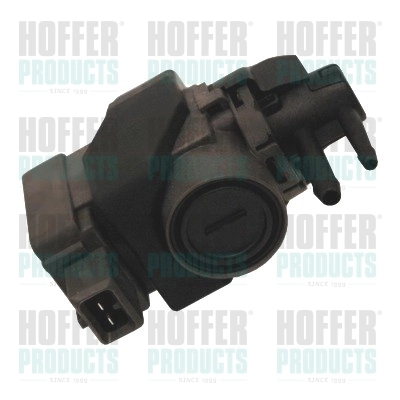 8029241 Hoffer
