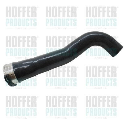961023 Hoffer