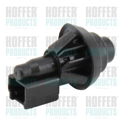H206135 Hoffer